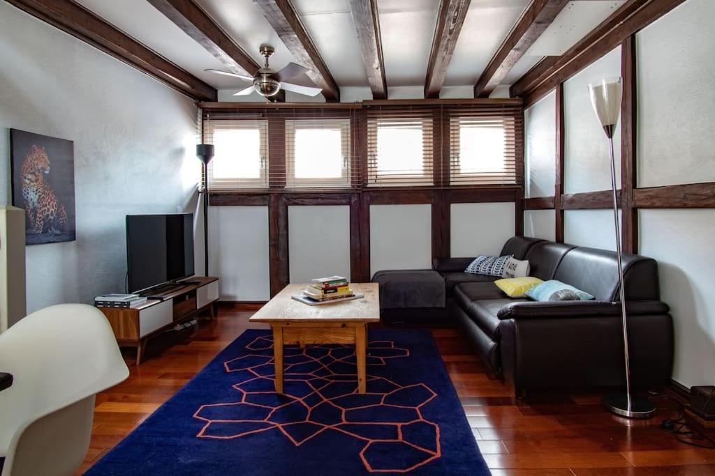 L'Or - Typical Alsacian Apartment In Strazburg Dış mekan fotoğraf
